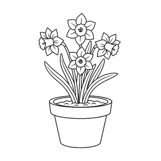 Cserépben virágzó nárcisz rajz